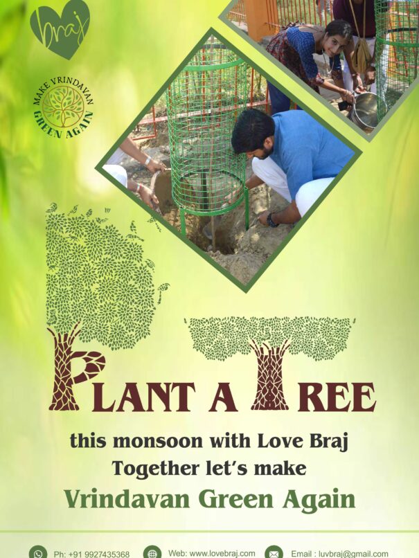 Plant A tree Final (1)